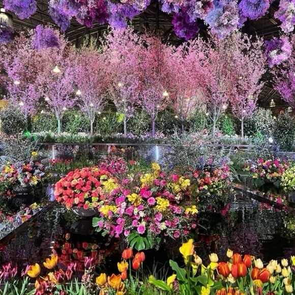 Meet your Posher, TJ - Picture 1 of 1